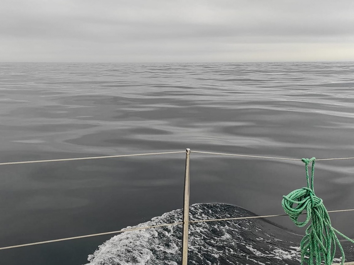 empty alt